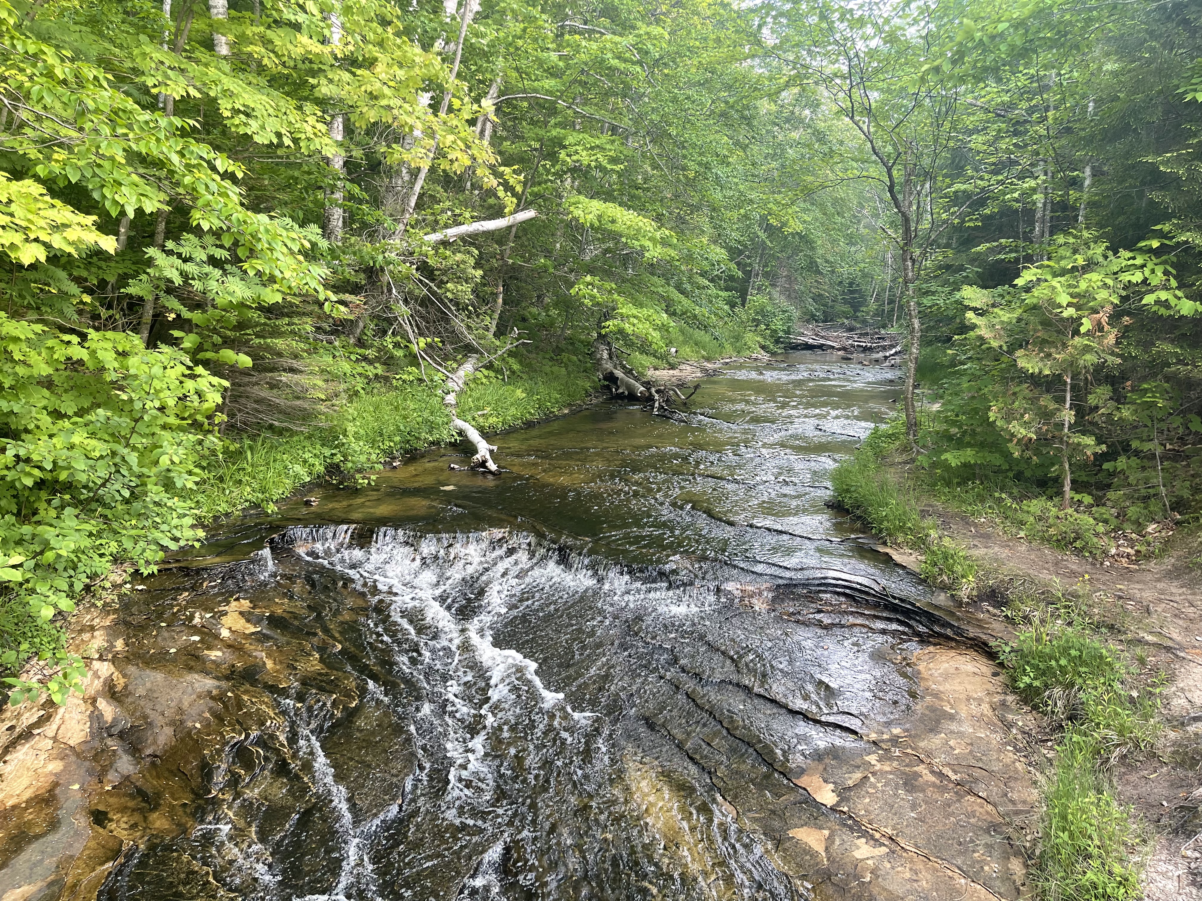 A scenic view of a shallow, clear creek flowing over flat, layered bedrock surrounded by a lush green forest, with a small dirt walking path running along the right bank.