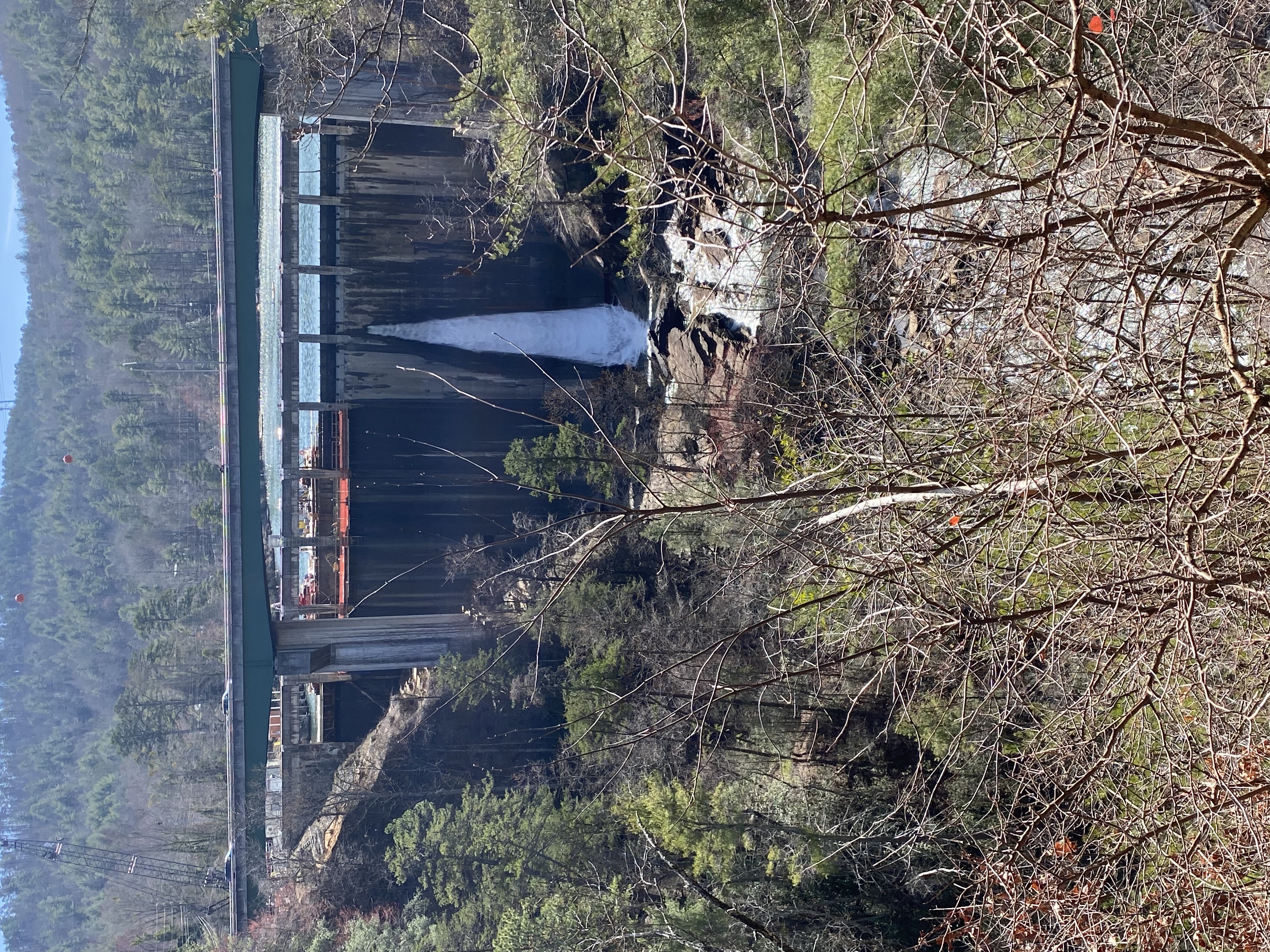 A wide shot of a concrete hydroelectric dam nestled in a forested mountain valley, with a single, powerful spillway releasing a rush of white water into a rocky river below, viewed through bare branches in the foreground.