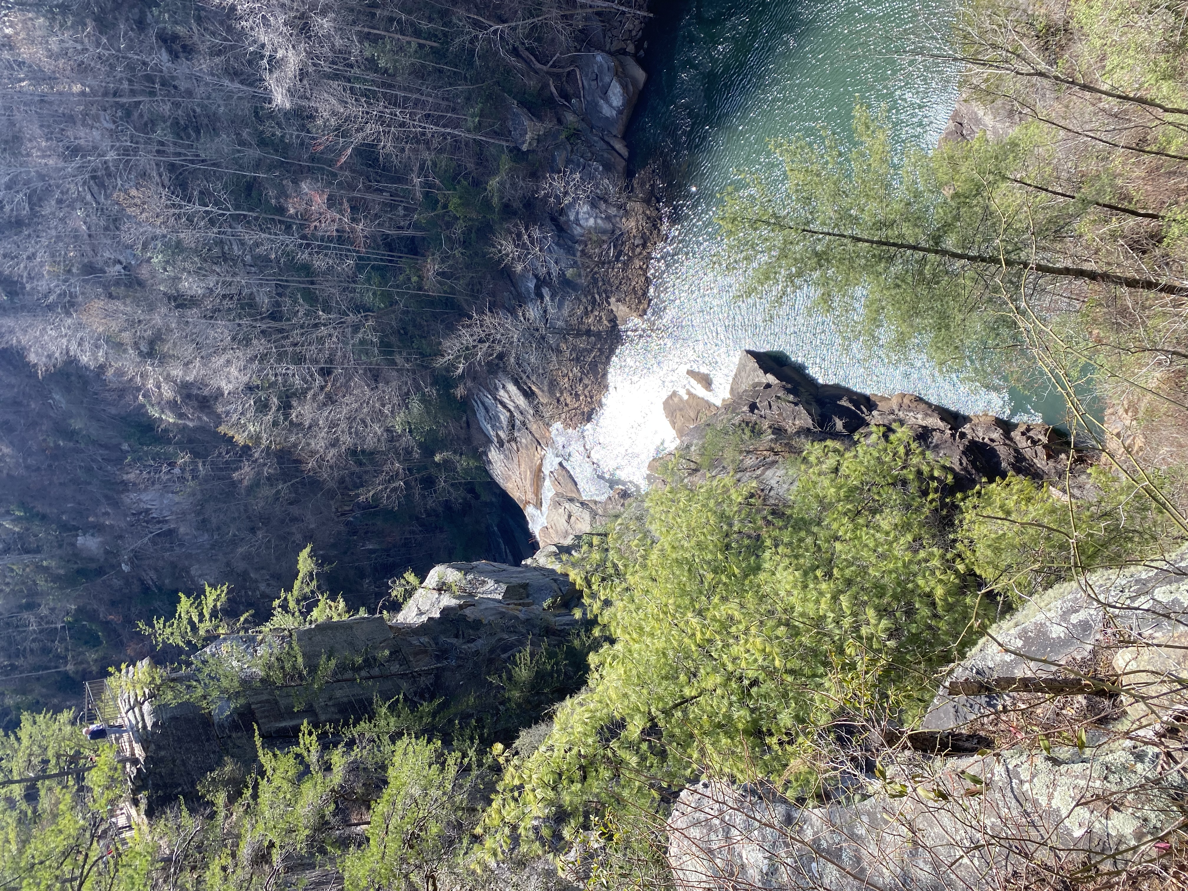 A high-angle, scenic view looking down into a deep rocky gorge or canyon where a river winds through the forest, with vibrant green pine trees on one side and bare winter trees on the other under a soft blue overlay.