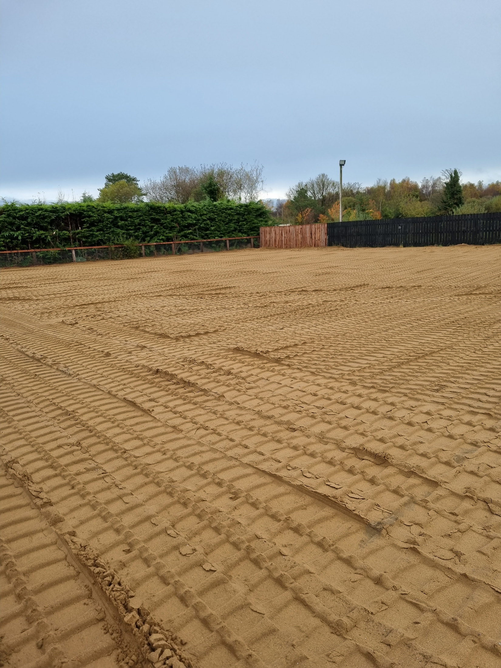 Prepared sand arena surface