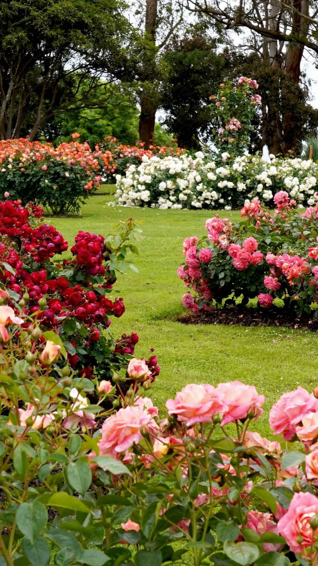 landscaping in laurinburg
