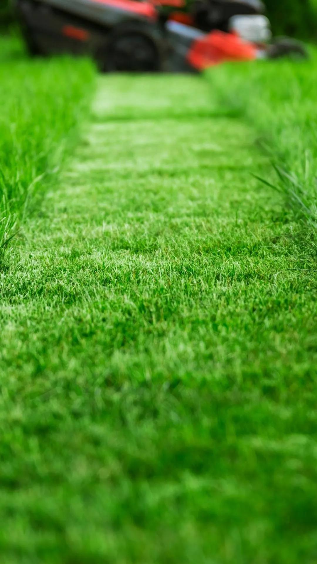 lawn care in aberdeen