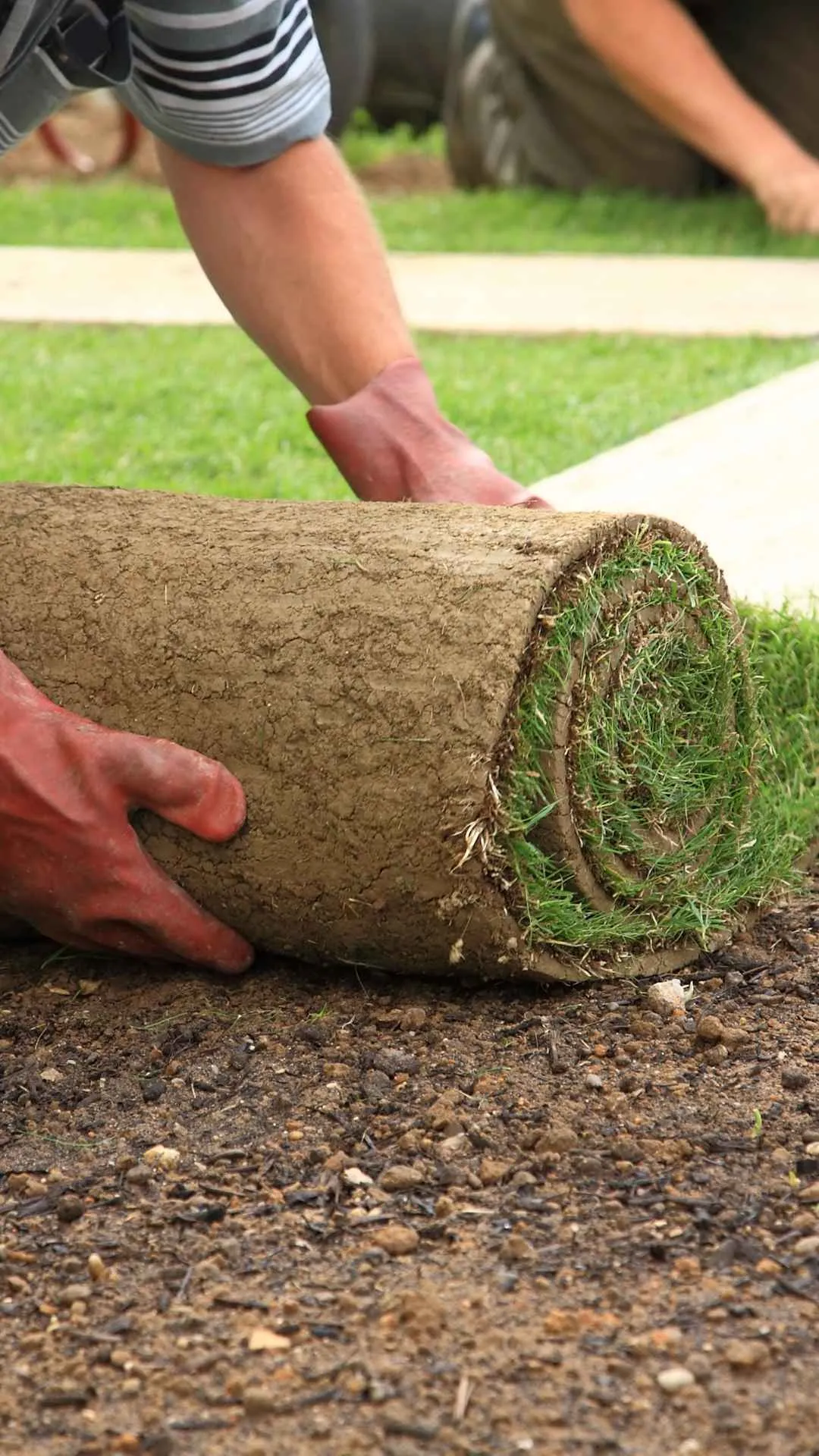 landscaping in aberdeen