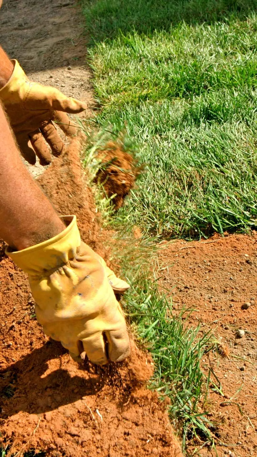 landscaping in pinehurst