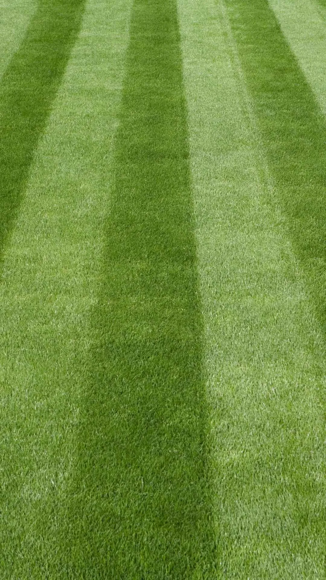 lawn care in fayetteville
