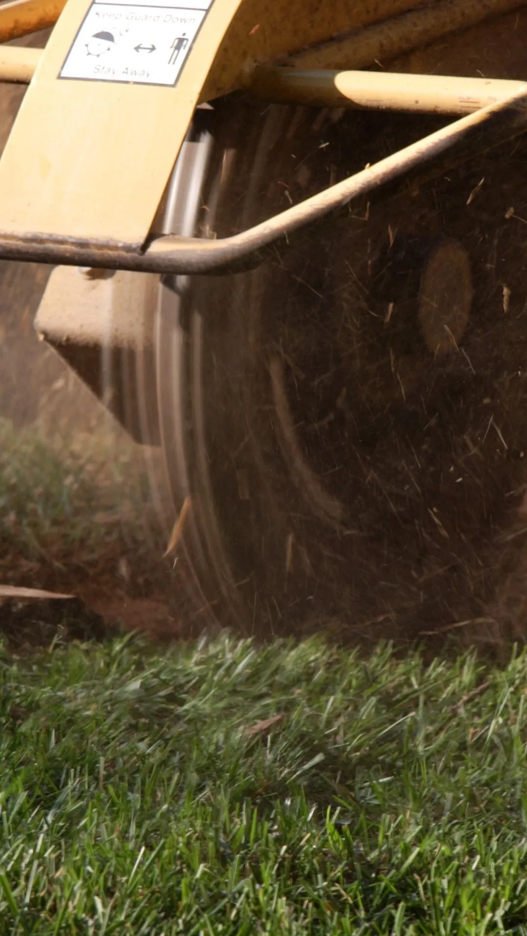 stump grinding in southern pines