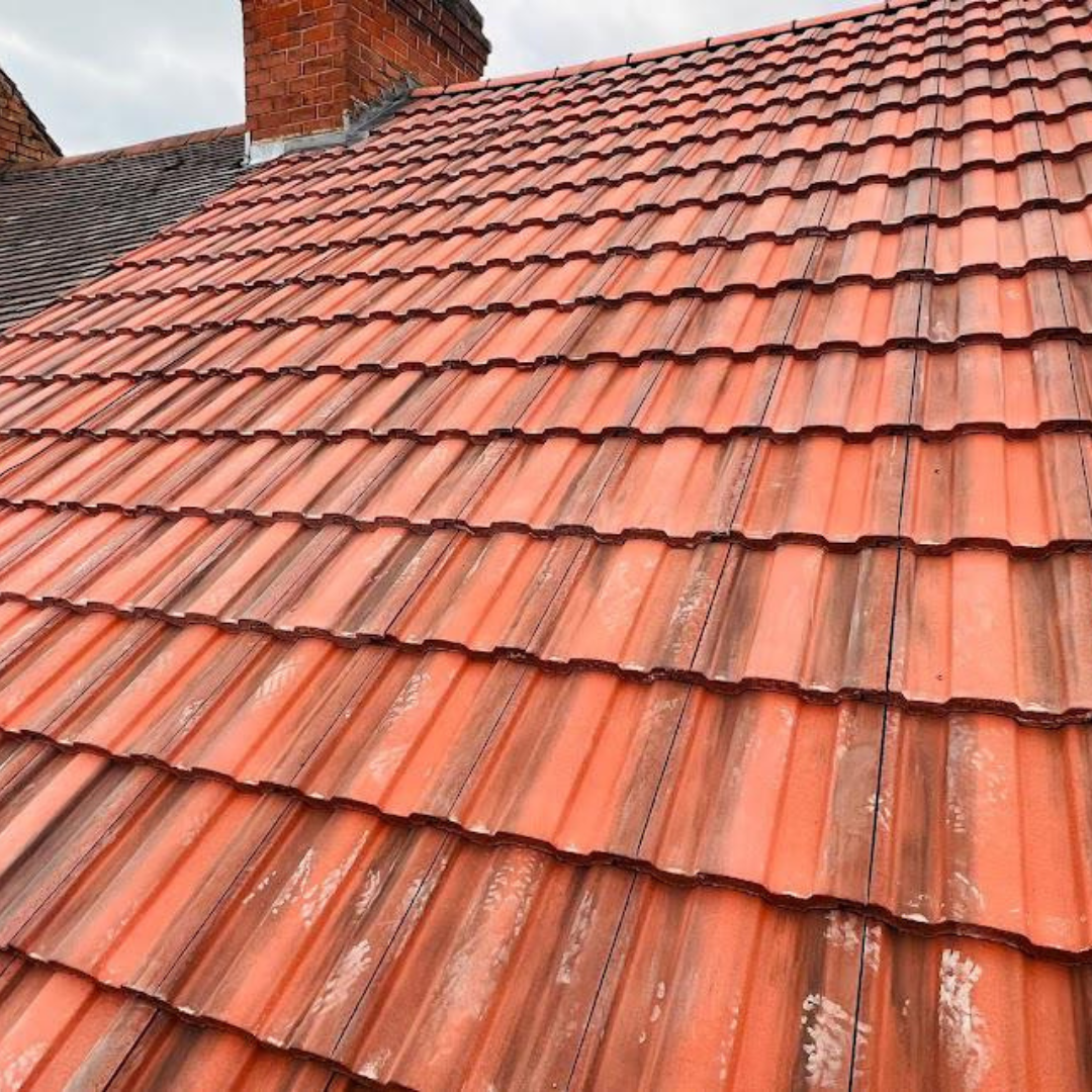 Recent roof project