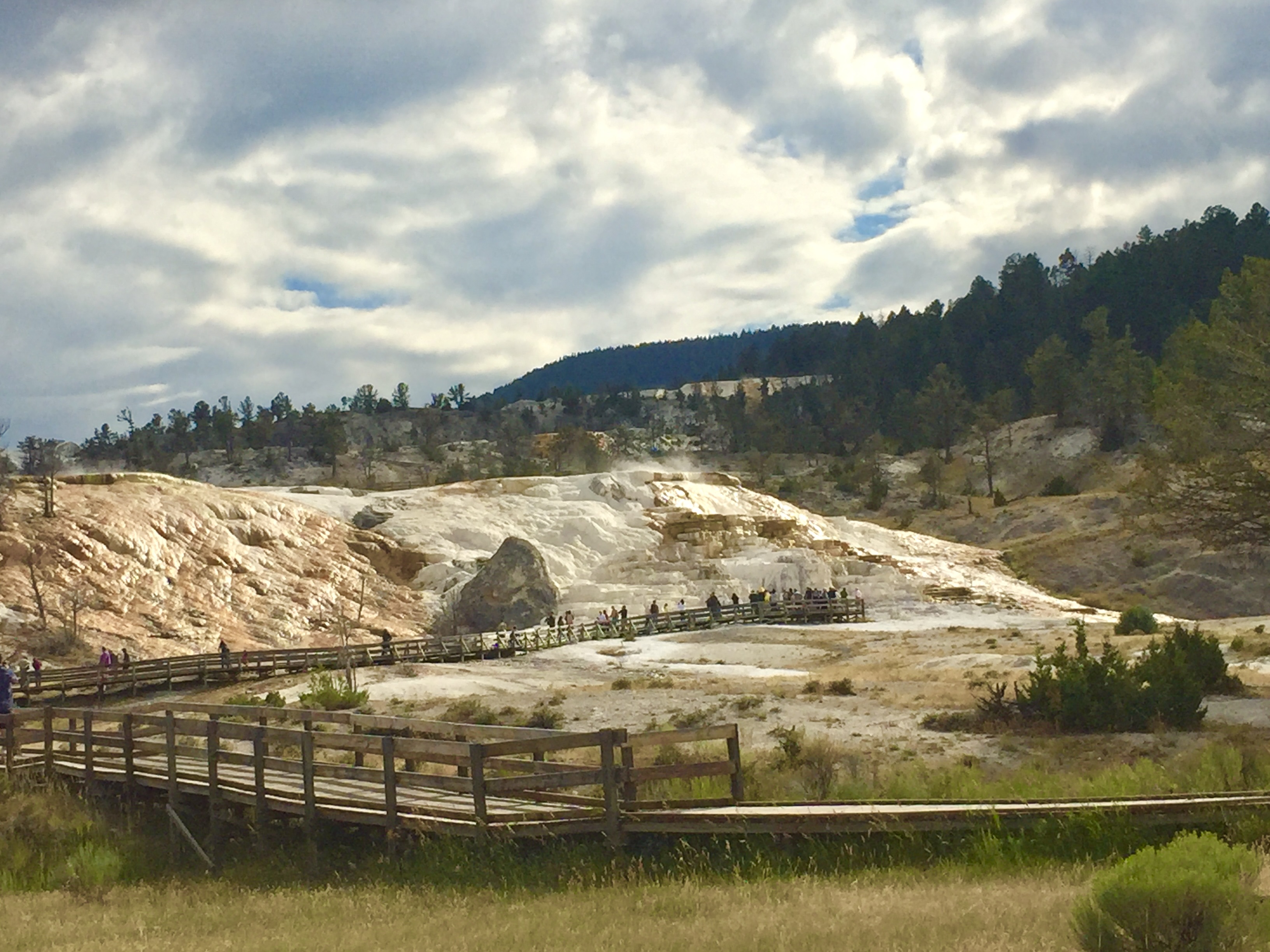 Mammoth Hot Springs Yellowstone Mammoth Hot Springs Yellowstone