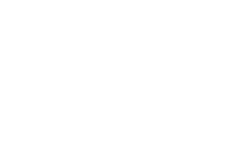 BAMF Logo