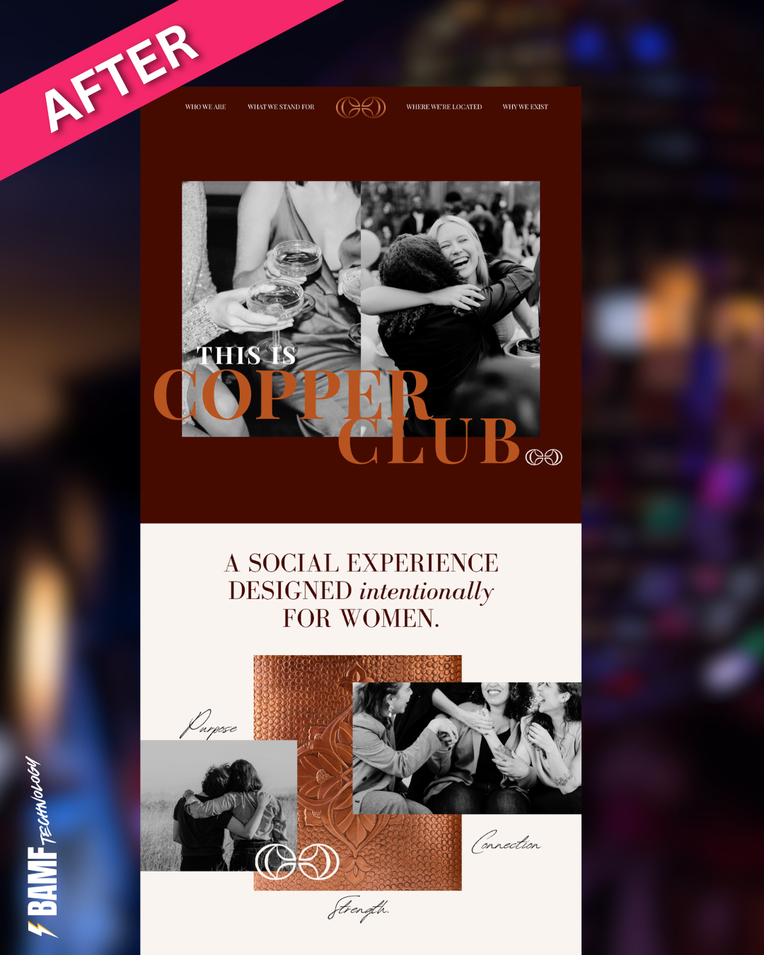 BAMF Technology sample