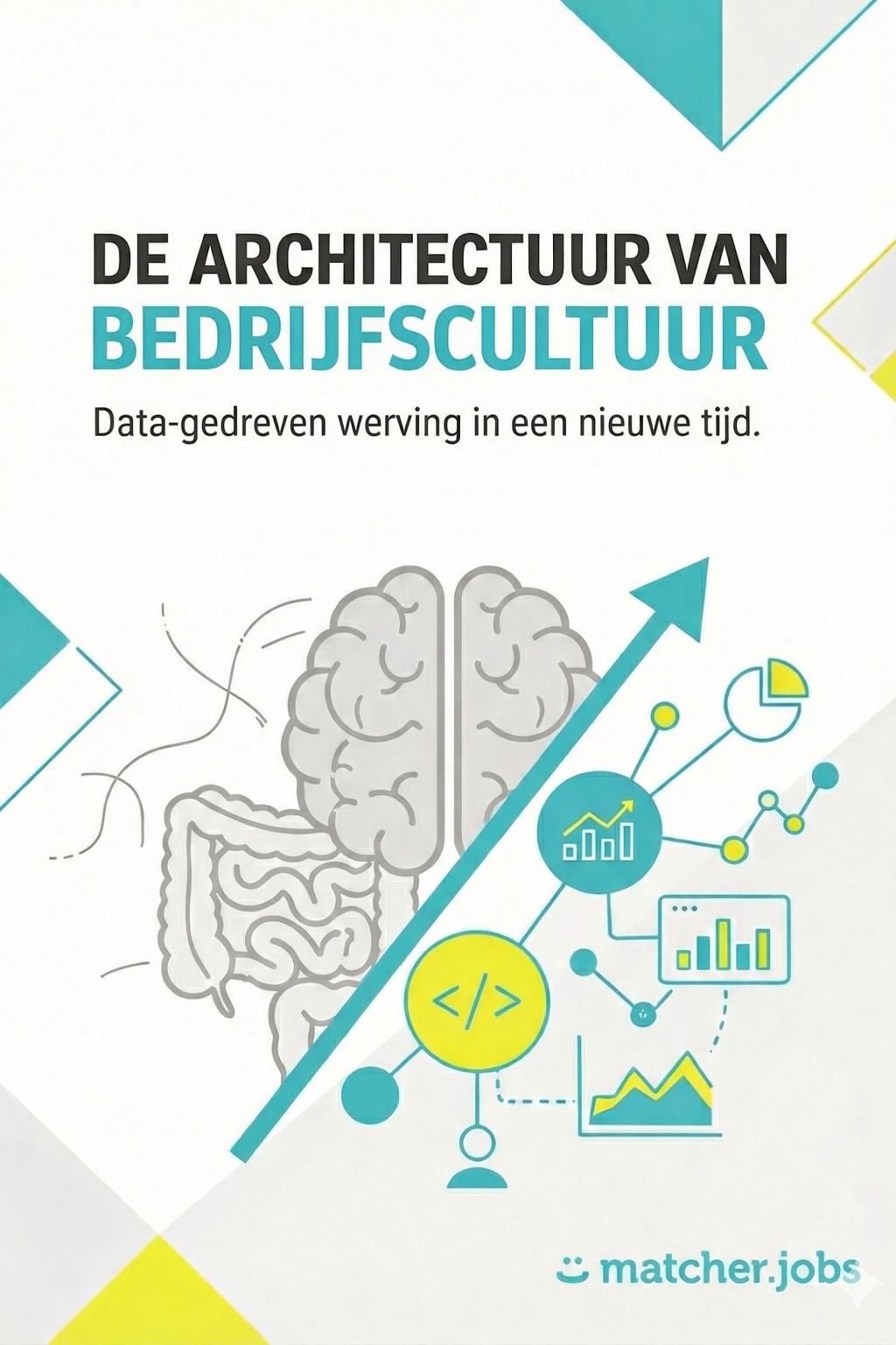 Cover of De Architectuur van Bedrijfscultuur, by Wim Pelgrims and Timothy Desmet