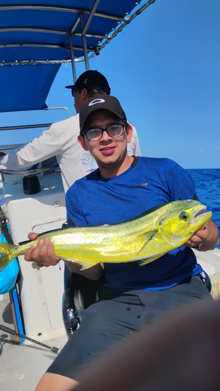 Mahi-Mahi catch Playa del Carmen