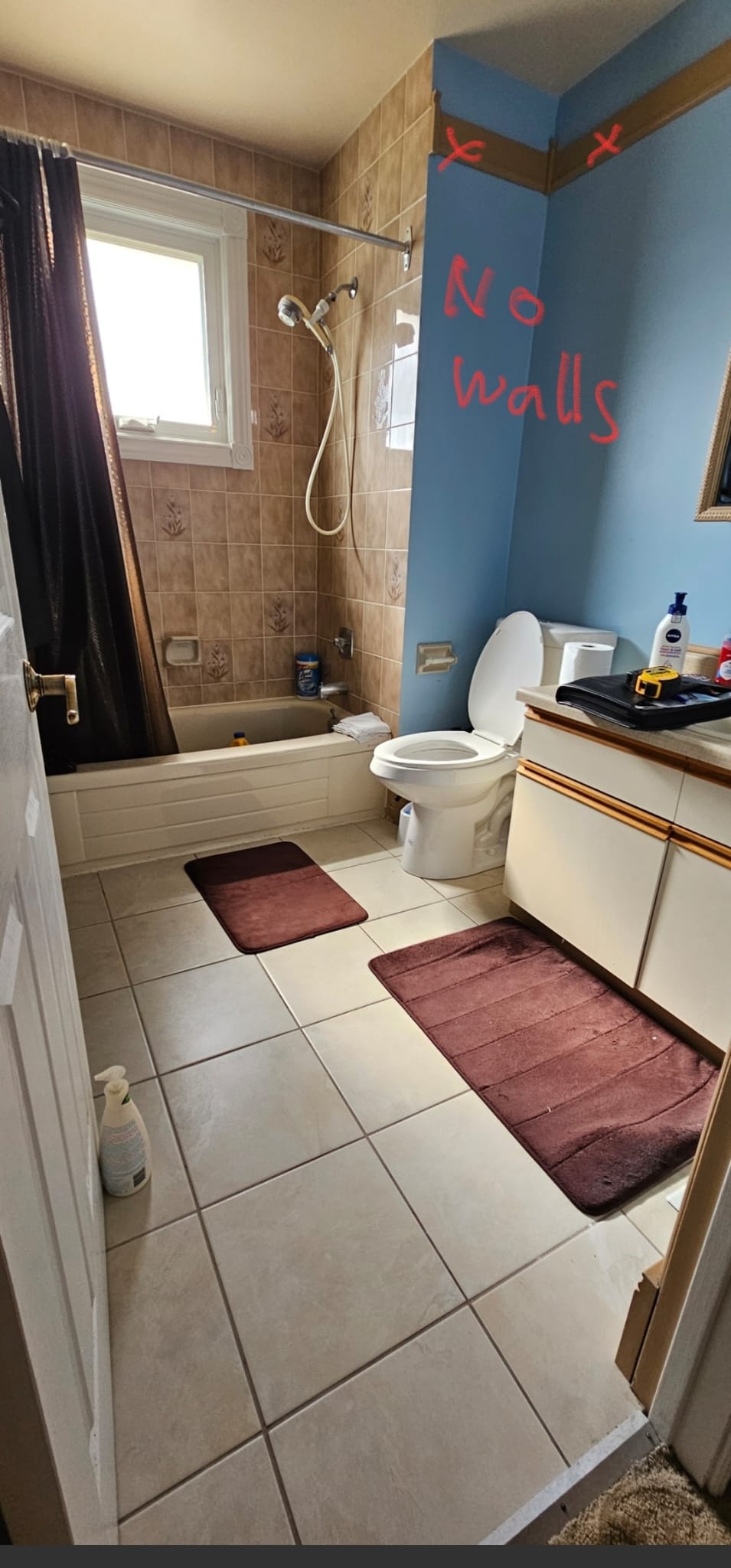 Bathroom renovation before — dated fixtures and finishes