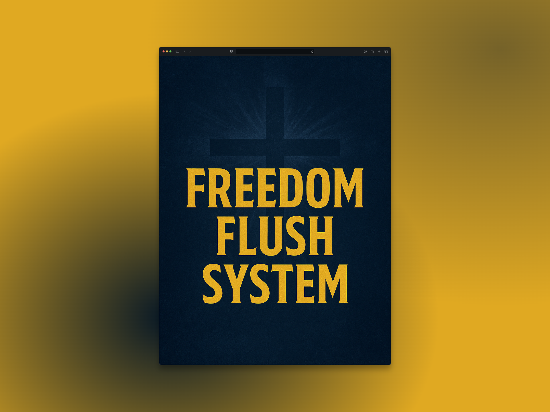 Freedom Flush System