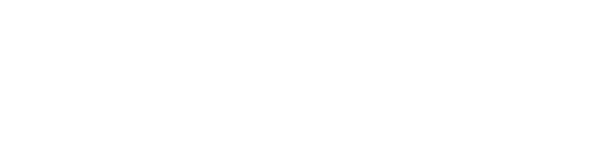 Forza Advantage
