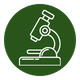 CLINICAL STAGE