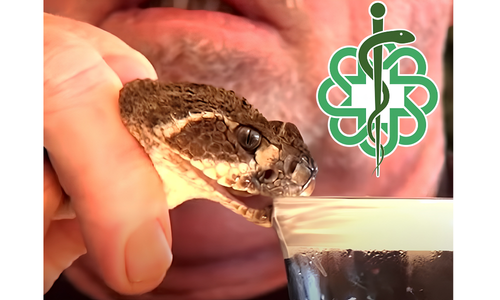 Celtic Biotech