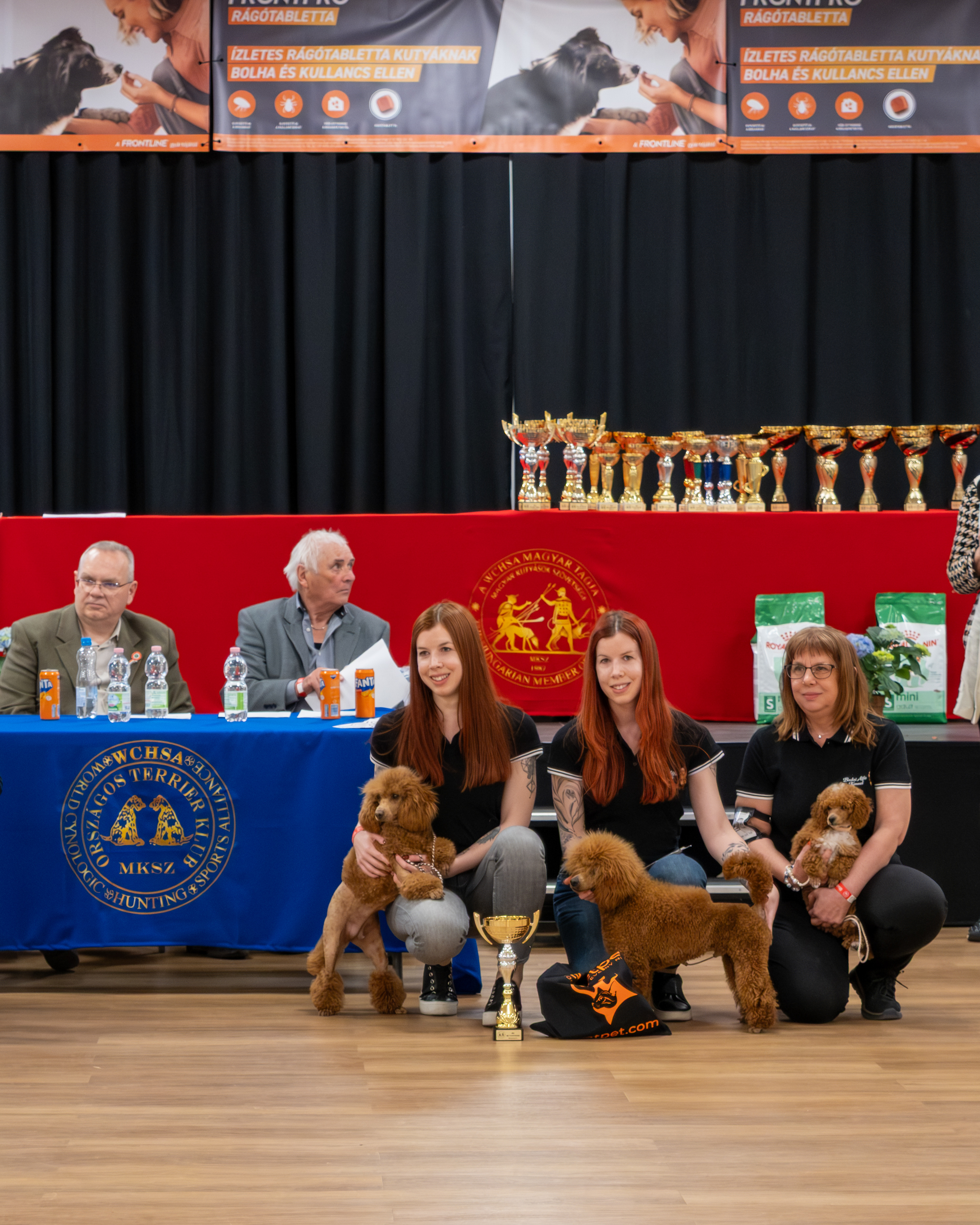 A Budai Alfa Kennel tenyésztői