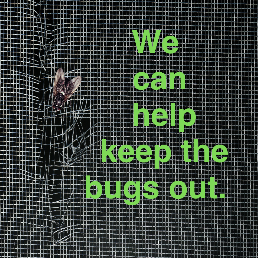 Windows & Screens — Fix Them Before the Bugs Find Them
