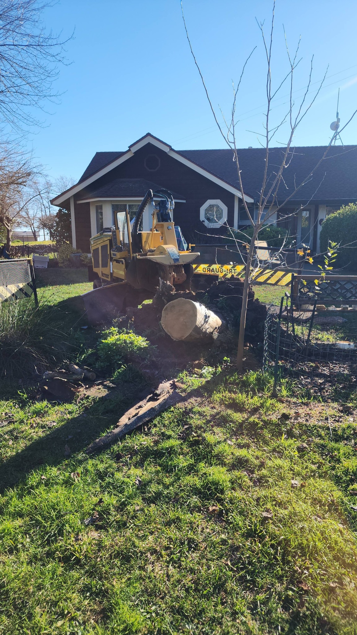 Branch Management job site
