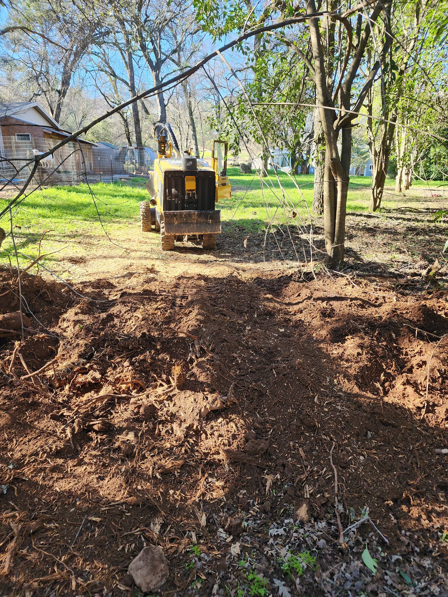 Branch Management job site