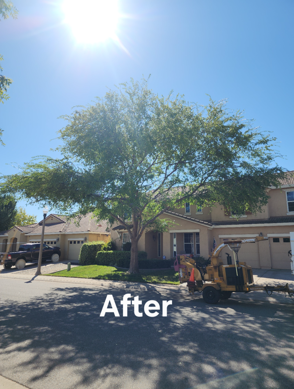 Branch Management job site