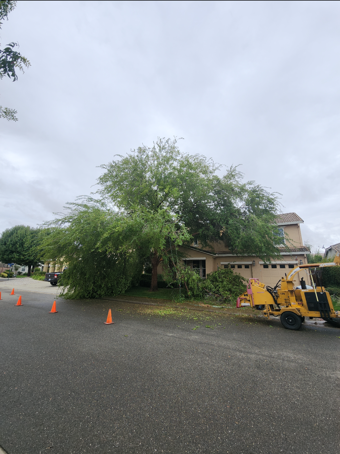 Branch Management job site