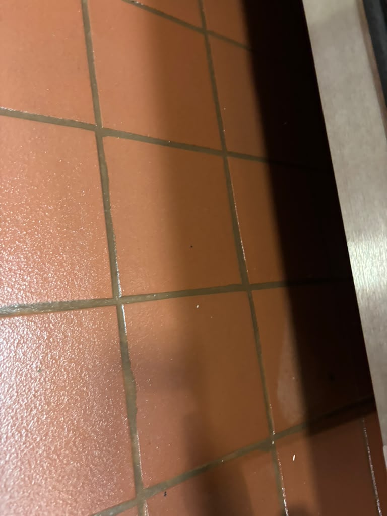 Freshly cleaned bathroom with shining fixtures in Elizabeth, NJ by Cleaning Luna