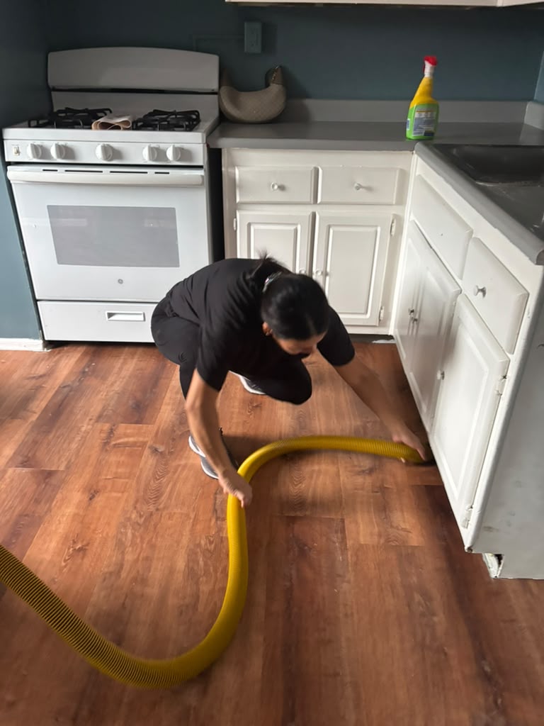 Detail-cleaned staircase and railing by Cleaning Luna in Elizabeth, NJ