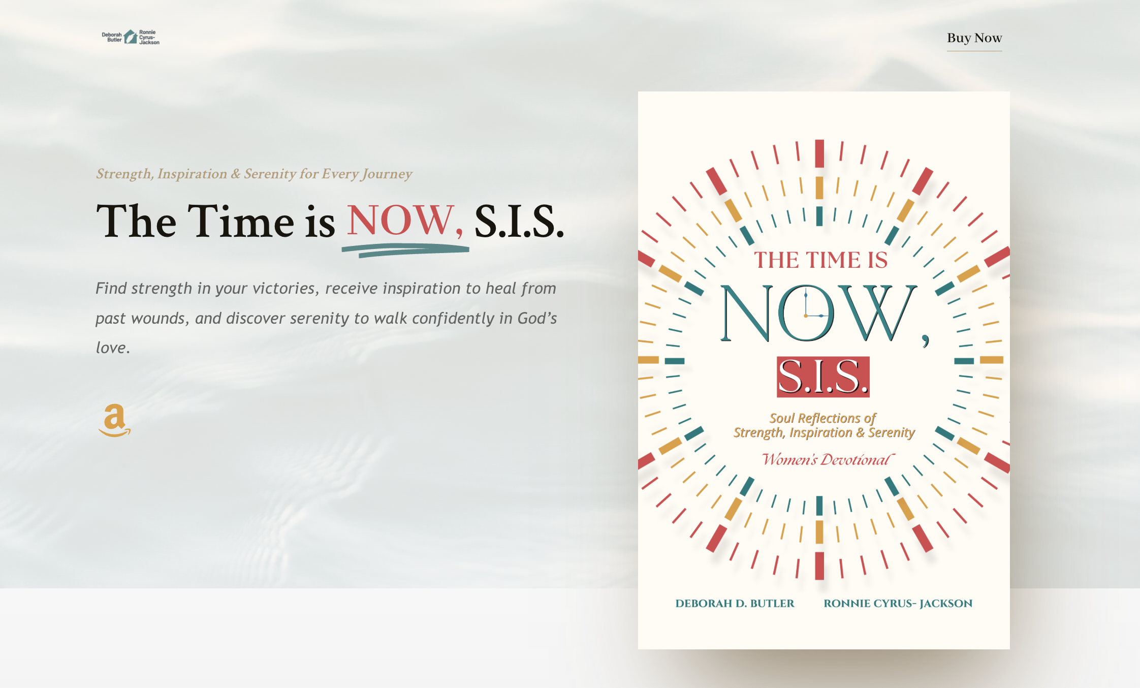 Website design example: The Time Is Now, S.I.S.