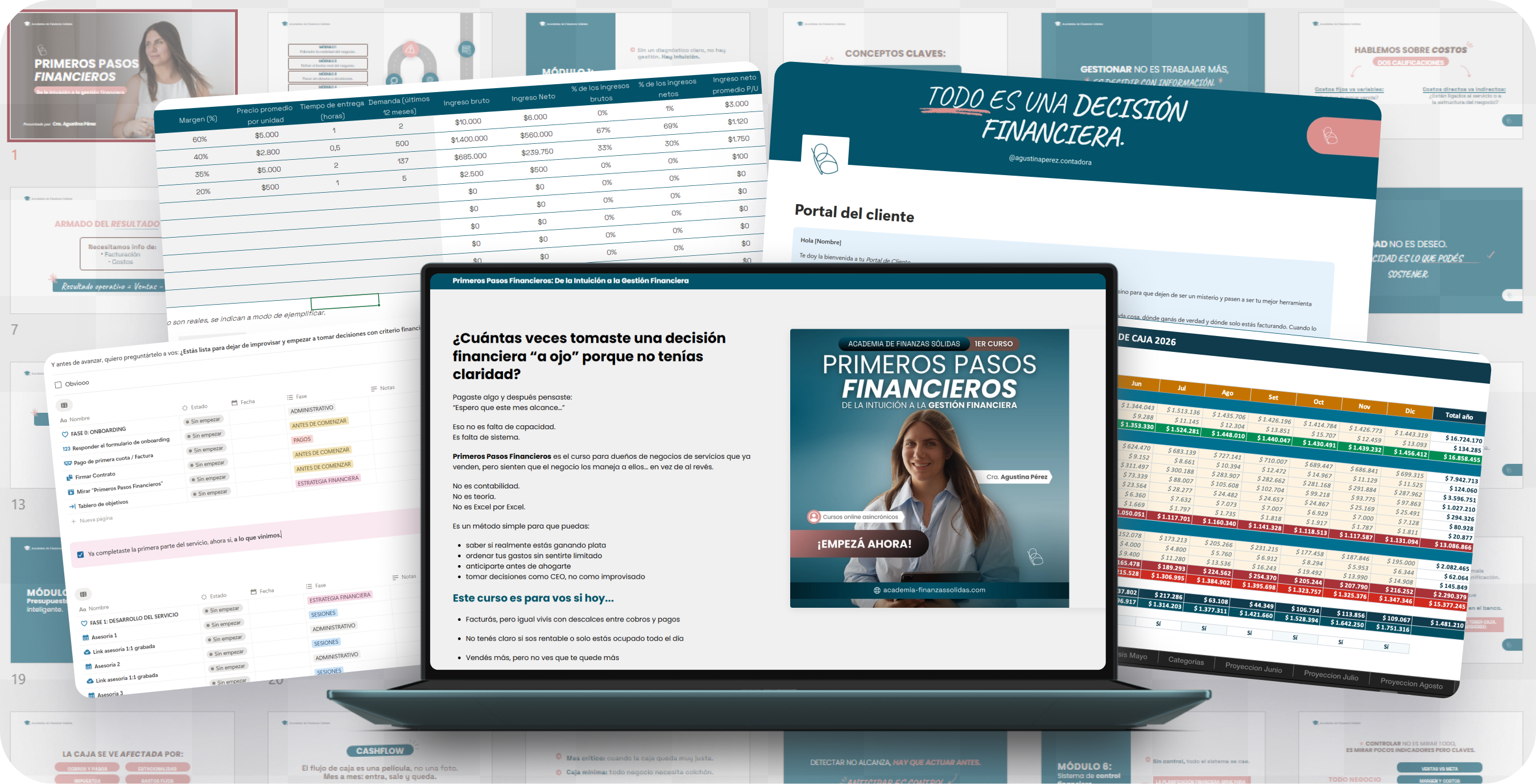 Portal del cliente y plantillas financieras