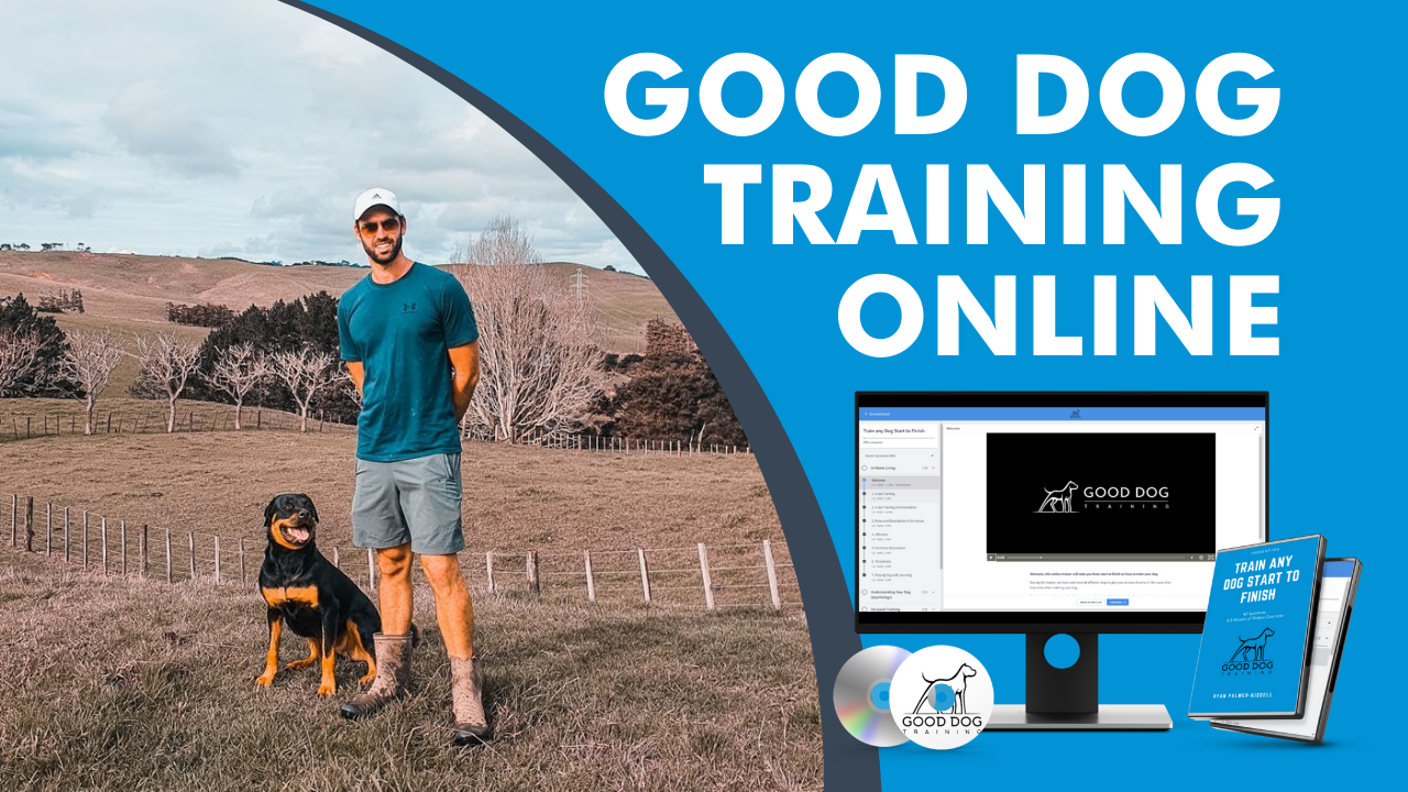 Good Dog Training Online Course