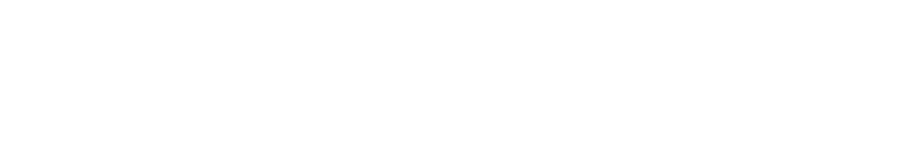 New Port Richey Screen Enclosures Logo