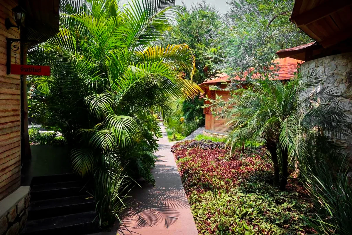 A planted walkway between the casitas