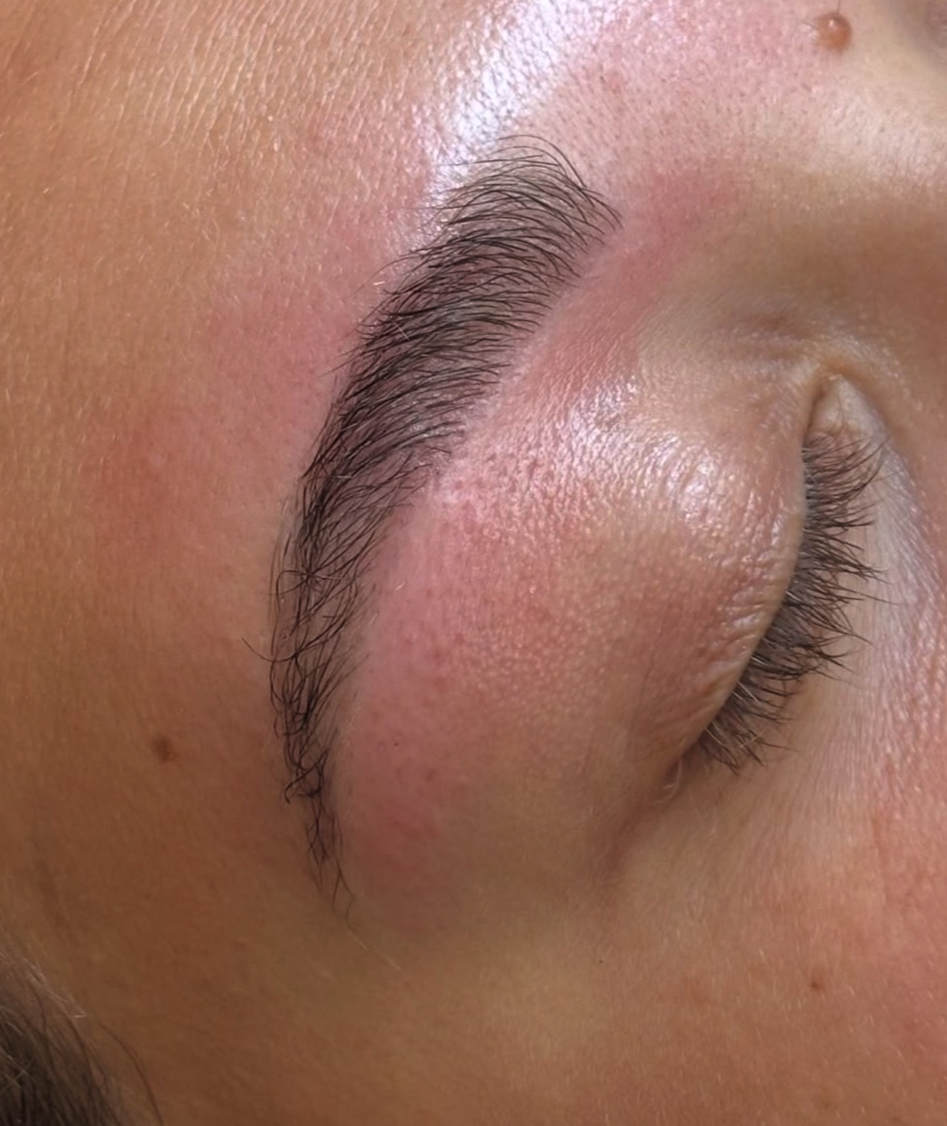 Brow Lamination
