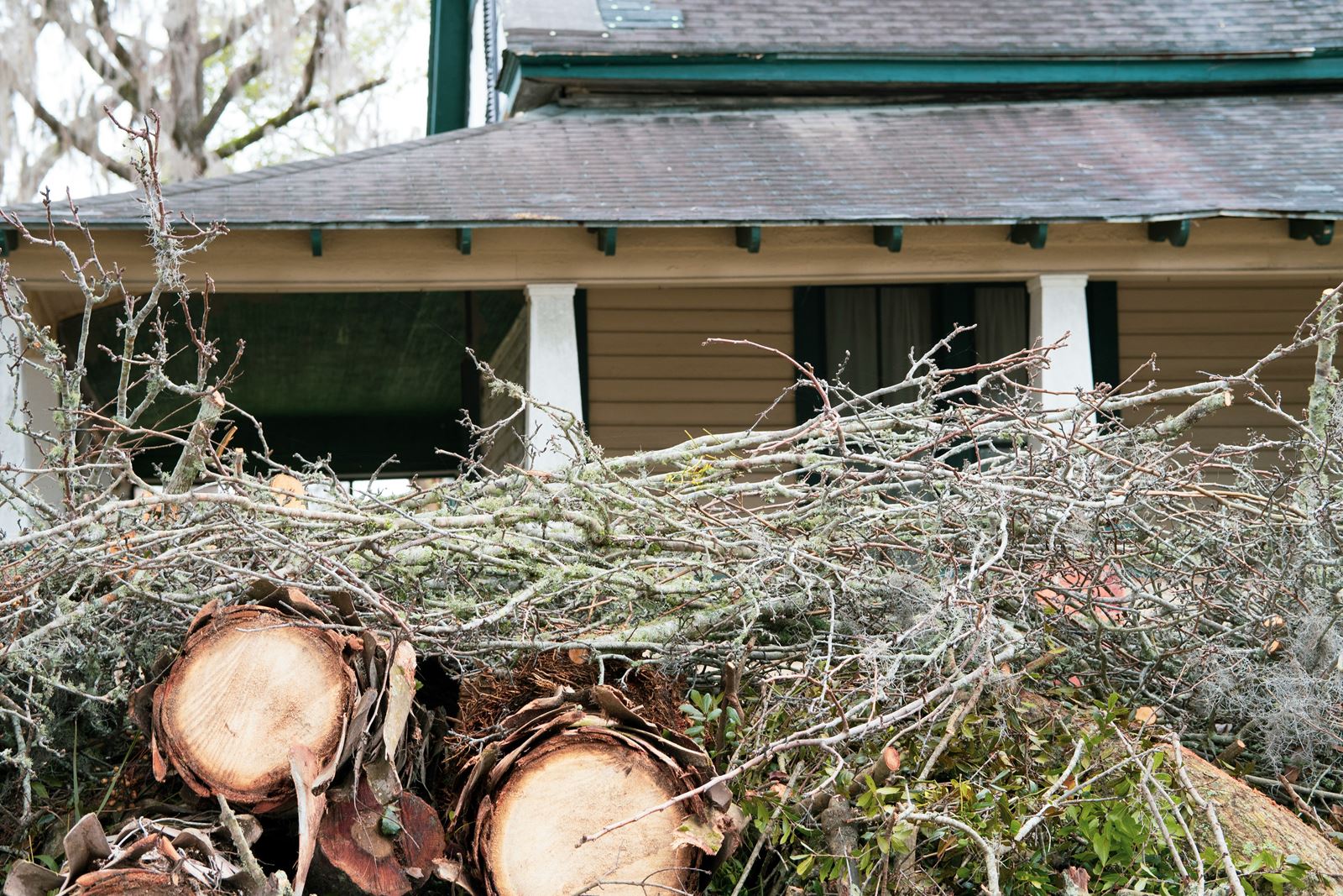 Cut logs from a tree removal stacked beside a house