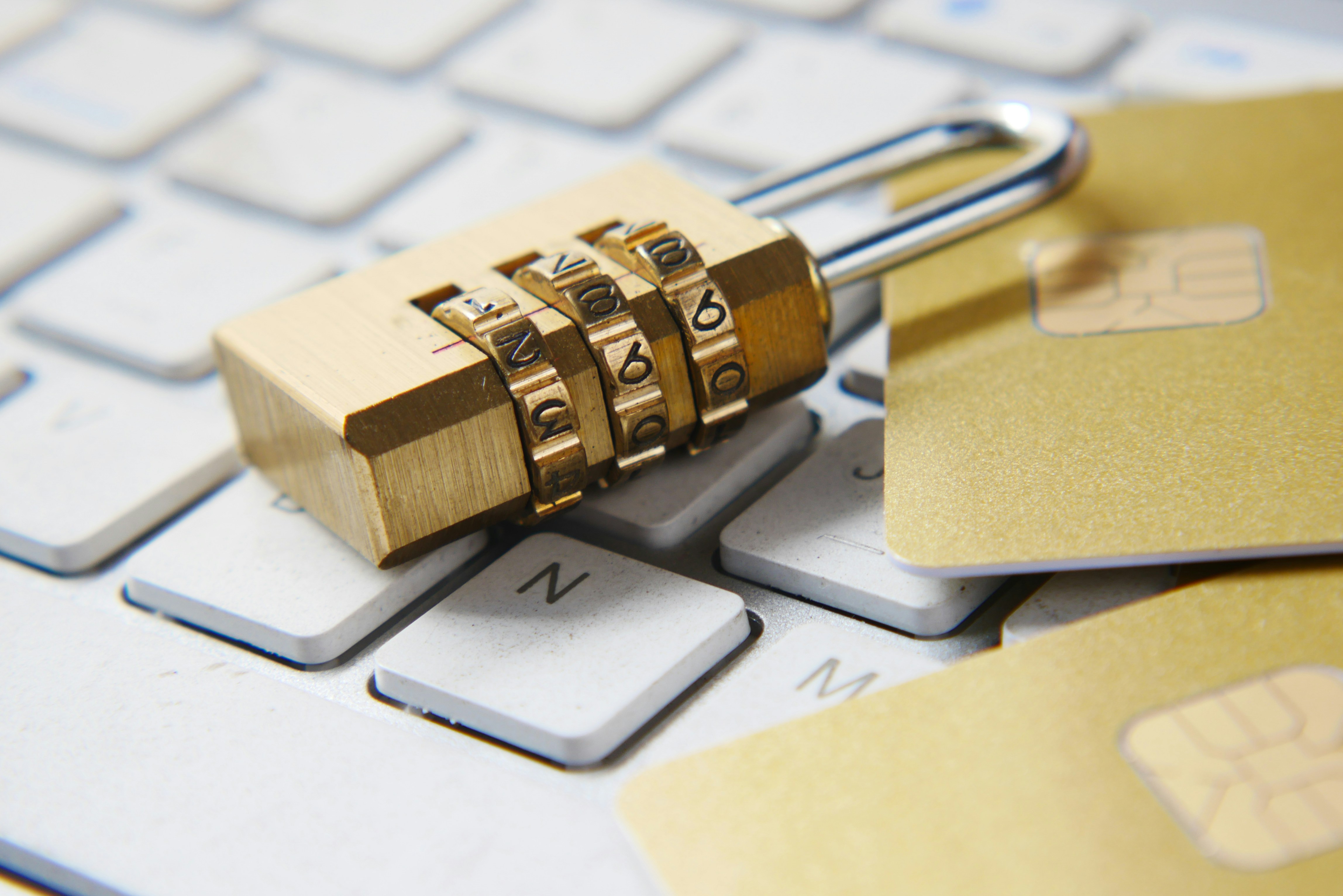 Privacy Policy | Lemonade Pest Control