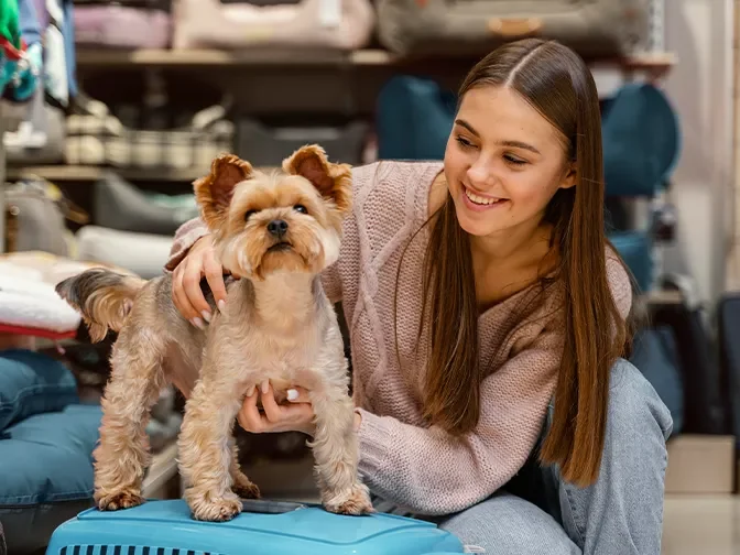 Factors to Consider When Choosing a Dog Grooming Franchise