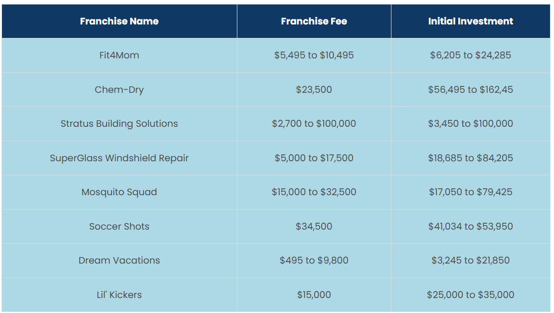 Another Low-Cost Franchise Opportunities