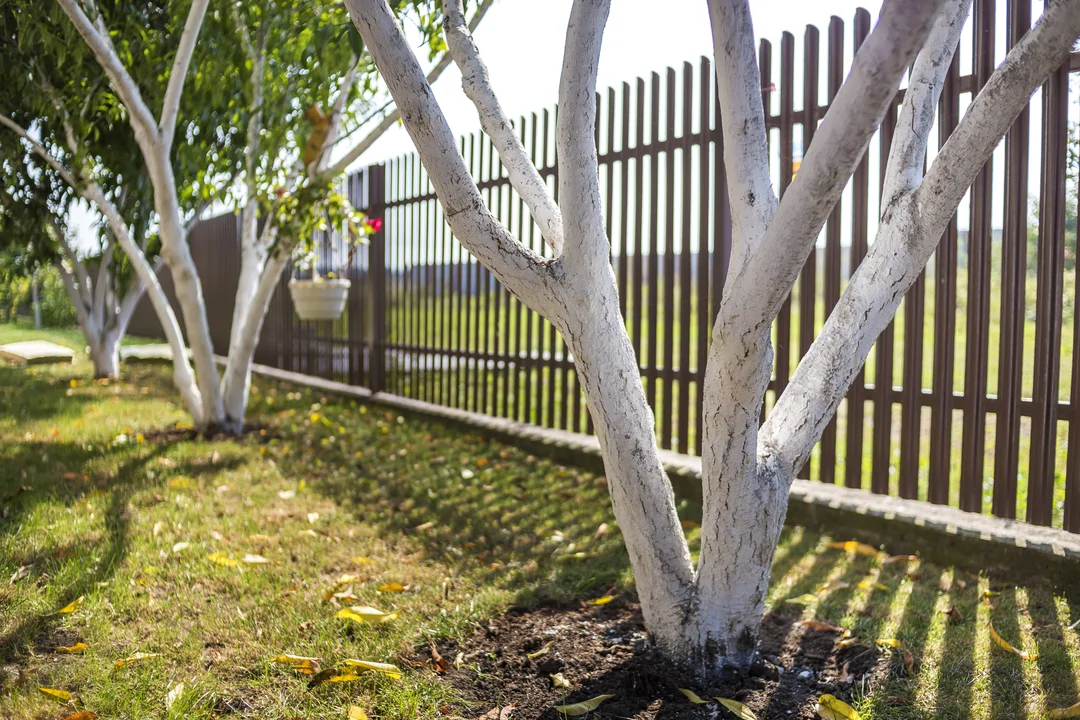 wooden fence