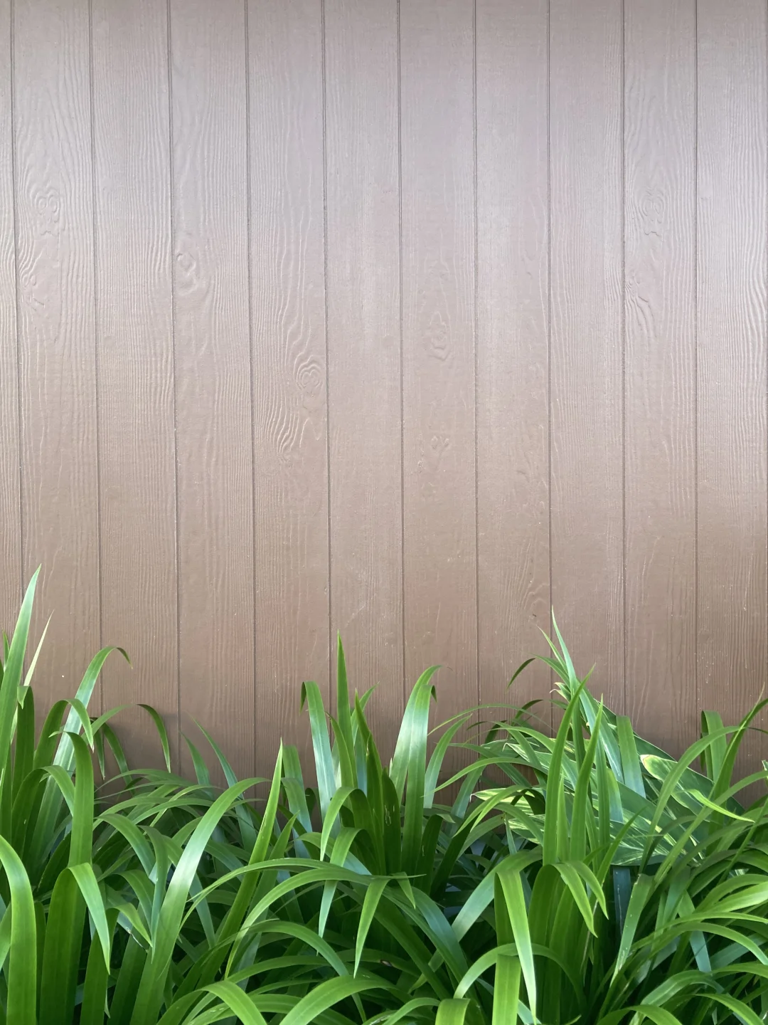 Wooden Fence Installation in Alvin