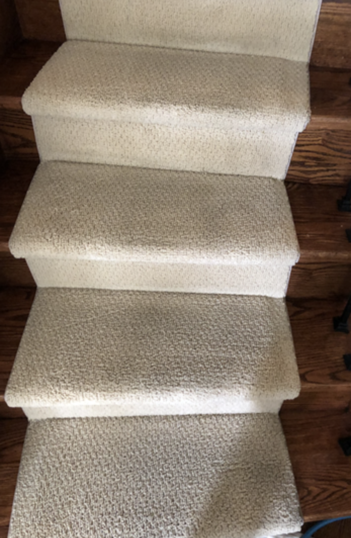 Area Rug Cleaning