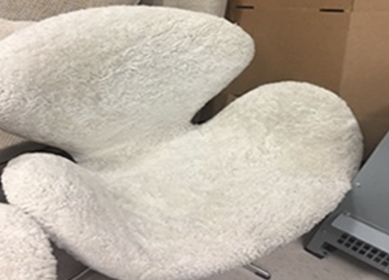 Couch & Upholstery Cleaning