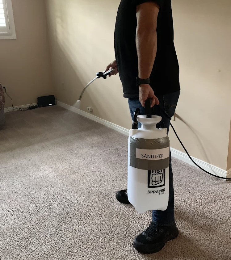 Carpet Steam Cleaning