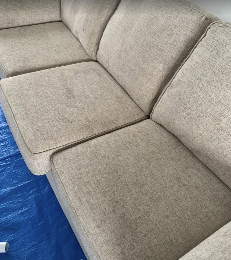 Upholstery Cleaning
