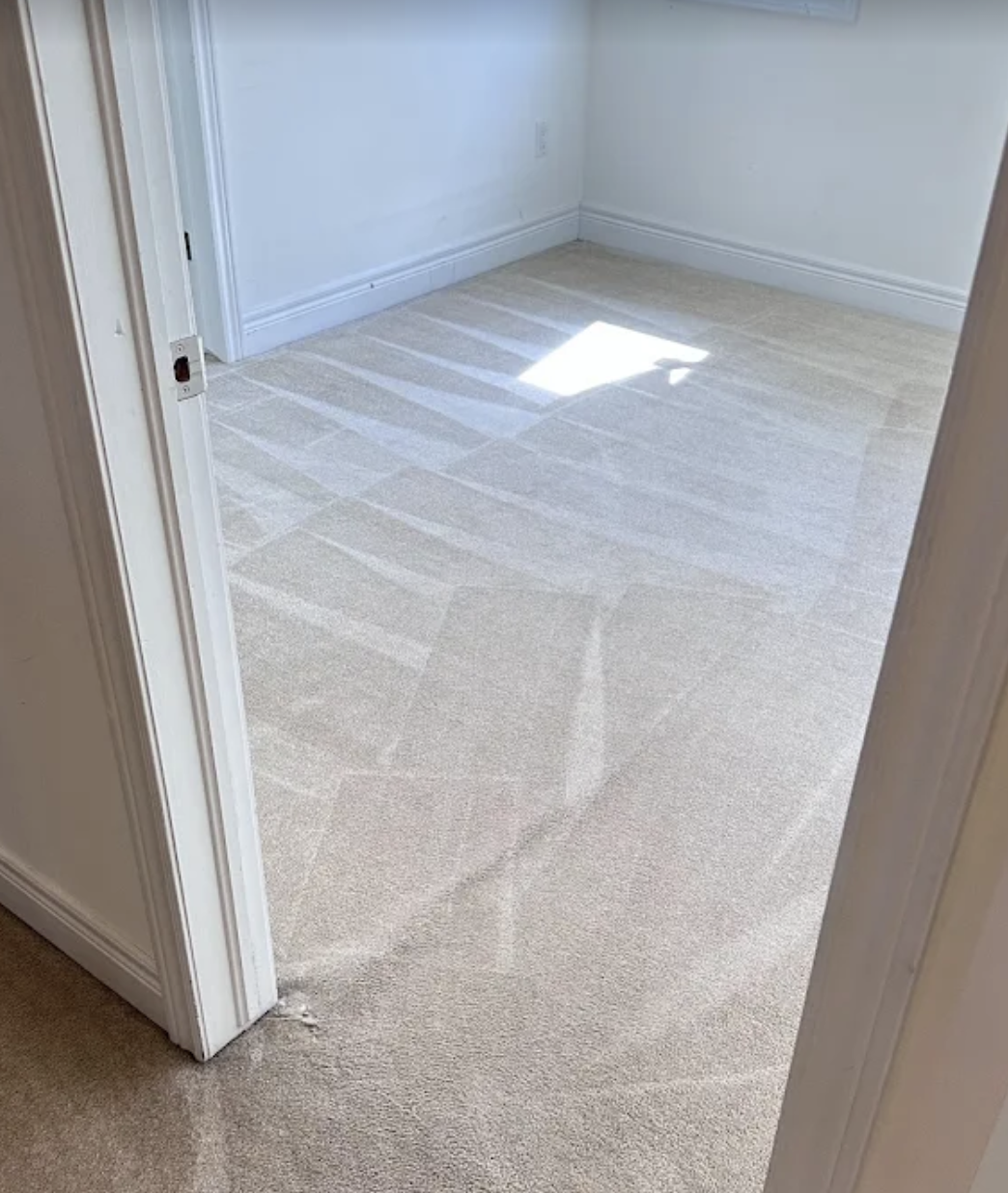 Living Room Carpet Cleaning