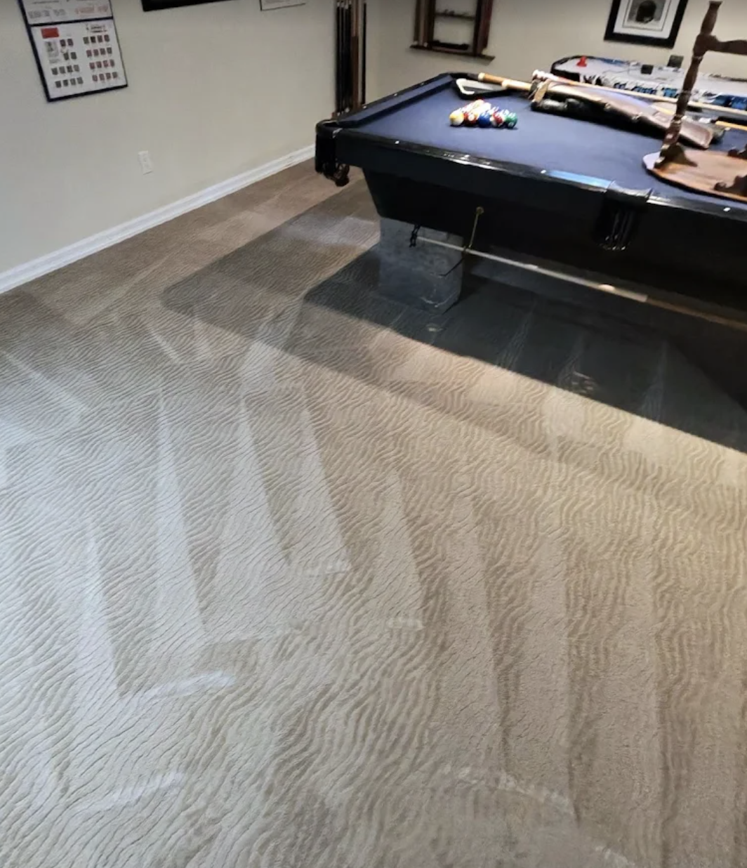 Pet Stain & Odor Removal