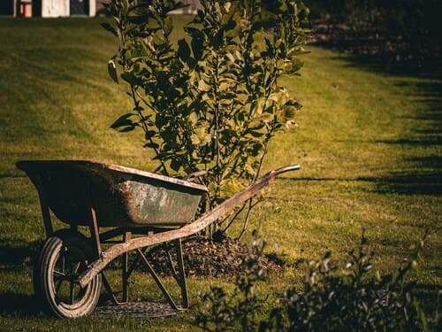 Spring Cleanup in Lakeville
