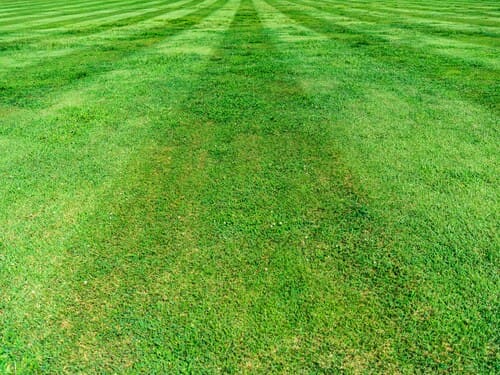 Mowing in Lakeville
