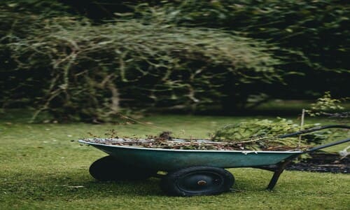 Apple Valley Spring Cleanup